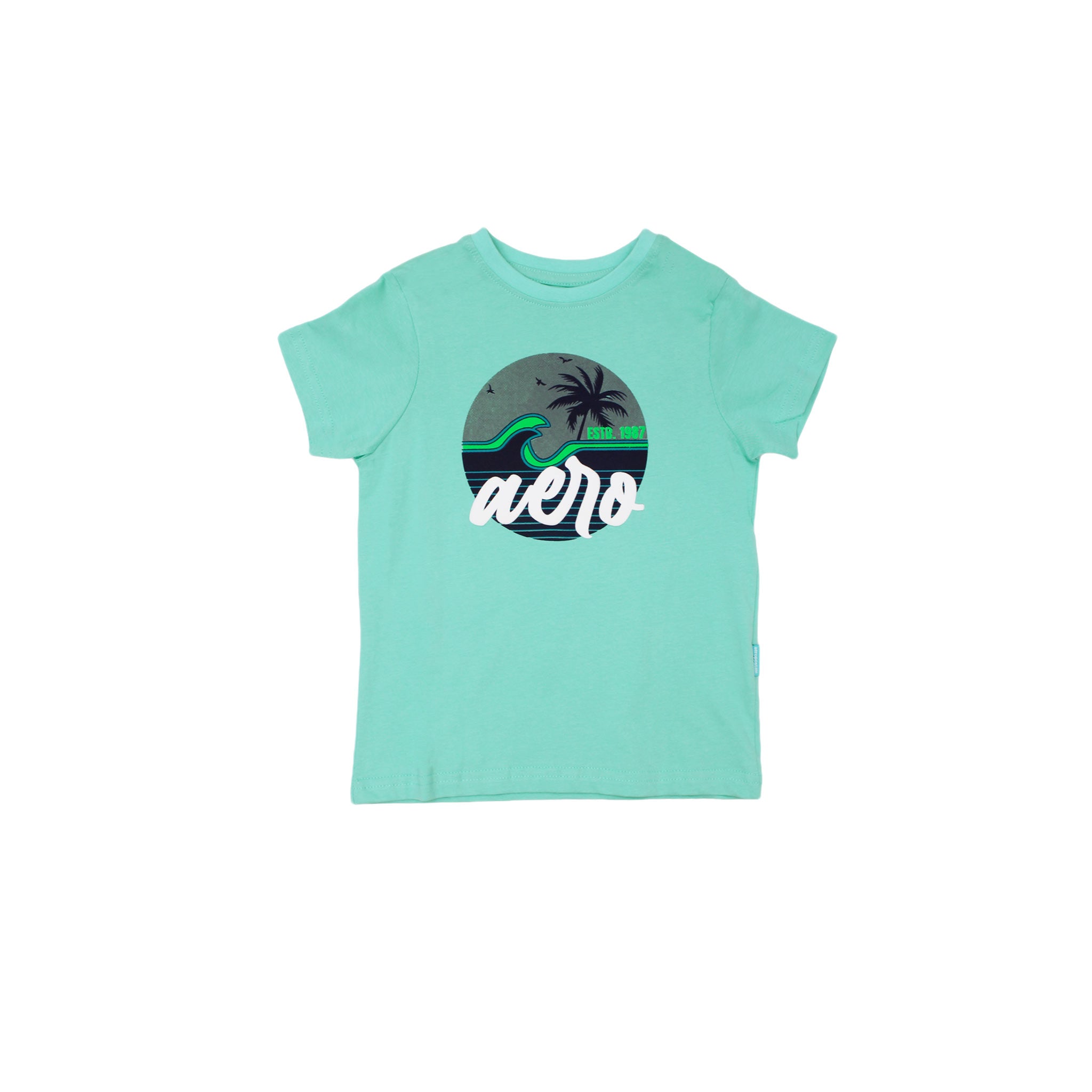 Camiseta Aeropostale Mangas Cortas Estampado Nino