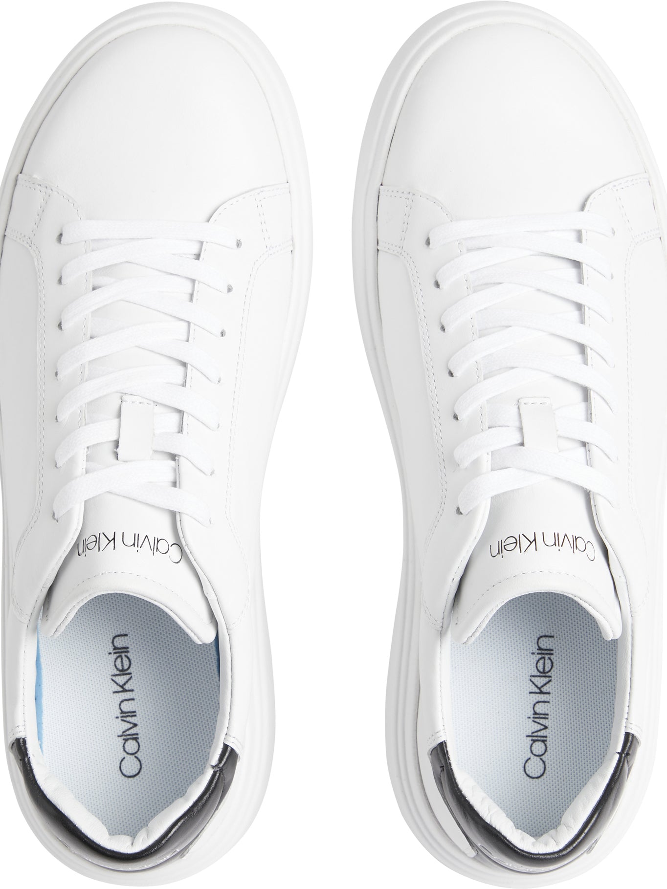 Tenis Calvin Klein Para Caballeros
