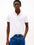 Poloshirt Tommy Hilfiger Mangas Cortas Liso Para Caballeros by Tommy Hilfiger