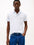 Poloshirt Tommy Hilfiger Mangas Cortas Liso Para Caballeros by Tommy Hilfiger