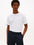 Camiseta Tommy Hilfiger Mangas Cortas Lisa para Caballeros