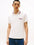 Poloshirt Tommy Hilfiger Mangas Cortas Estampado Para Caballeros by Tommy Hilfiger