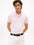 Poloshirt Tommy Hilfiger Mangas Cortas Liso para Caballeros