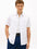 Camisa Tommy Hilfiger Mangas Cortas Lisa para Caballeros