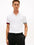 Poloshirt Tommy Hilfiger Mangas Cortas Liso para Caballeros