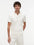 Poloshirt Tommy Hilfiger Mangas Cortas Liso para Caballeros