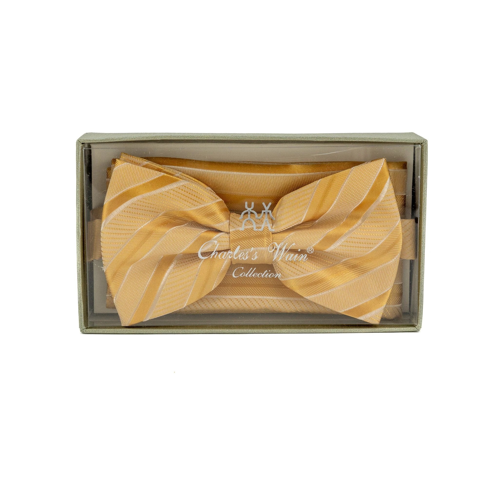 Corbatin Charles S Wain Con Pañuelo P/ Caballeros by Charles S Wain
